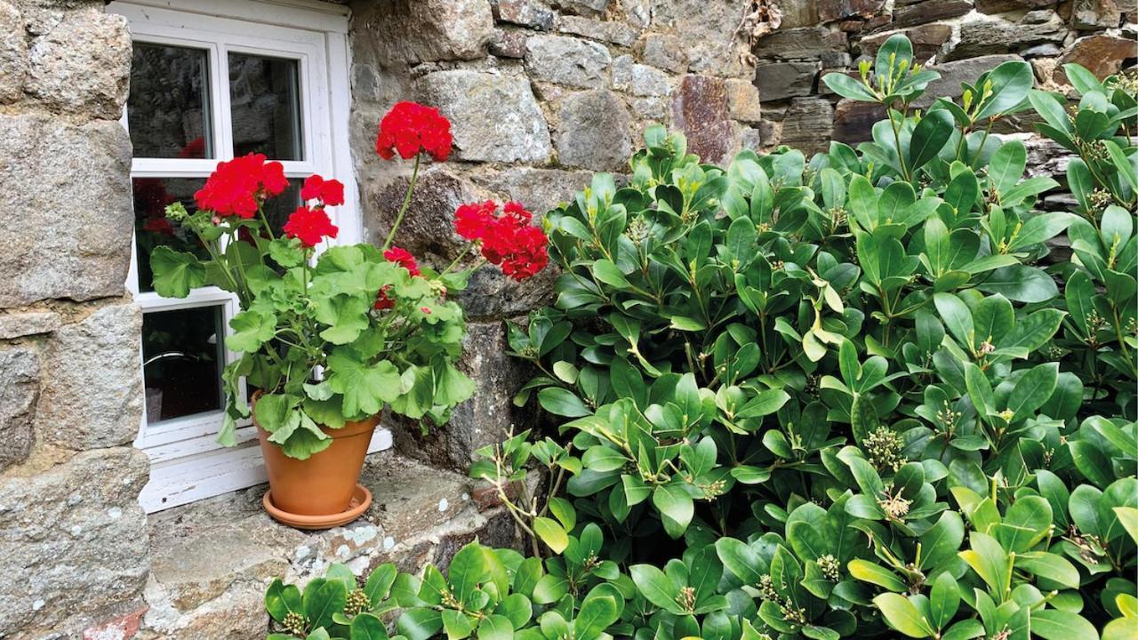 Manoir De La Begaudiere Mont-Dol Eksteriør billede