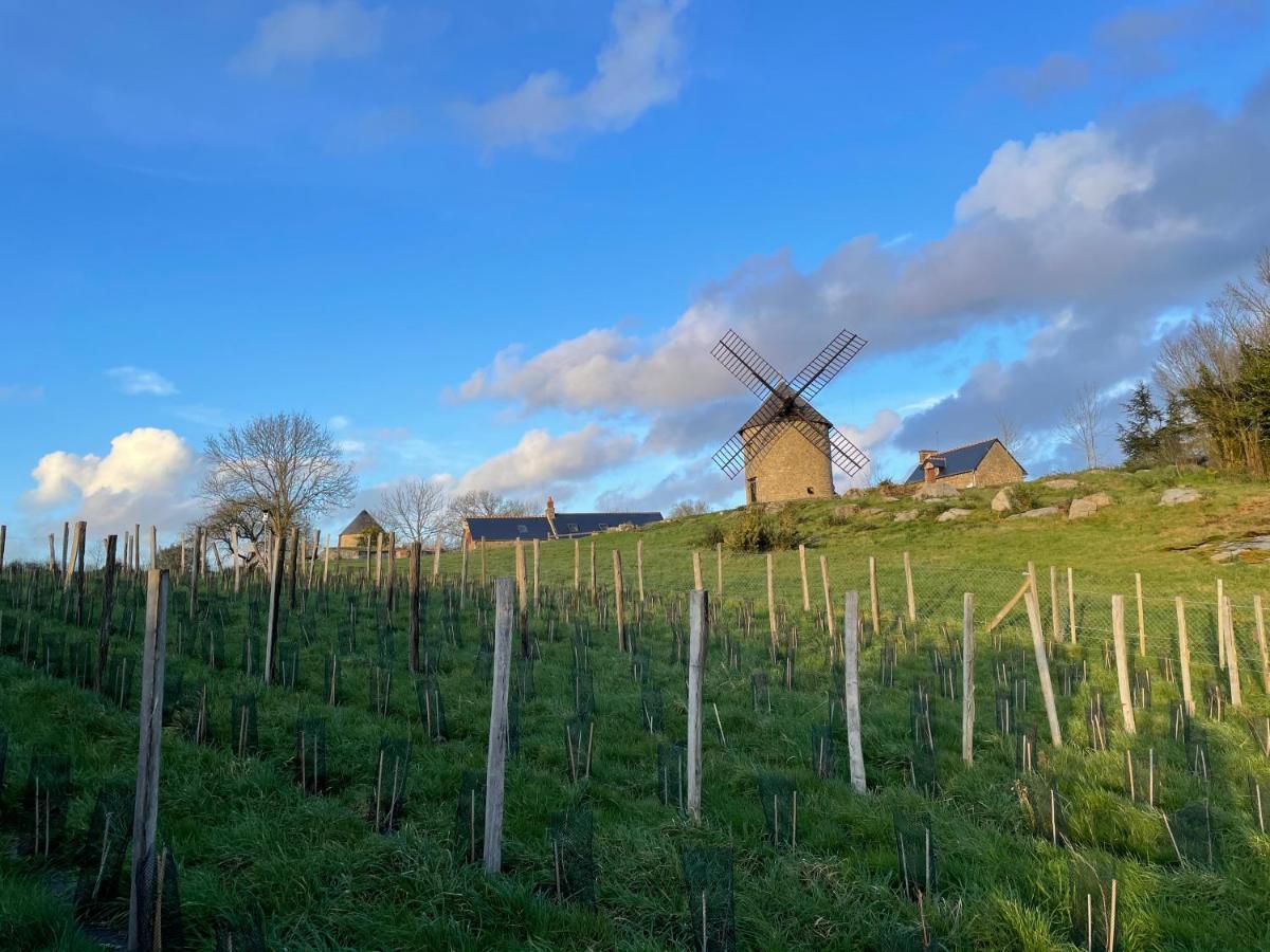 Manoir De La Begaudiere Mont-Dol Eksteriør billede